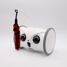 有限会社 Coo&amp;RIKUのプレスリリース画像2