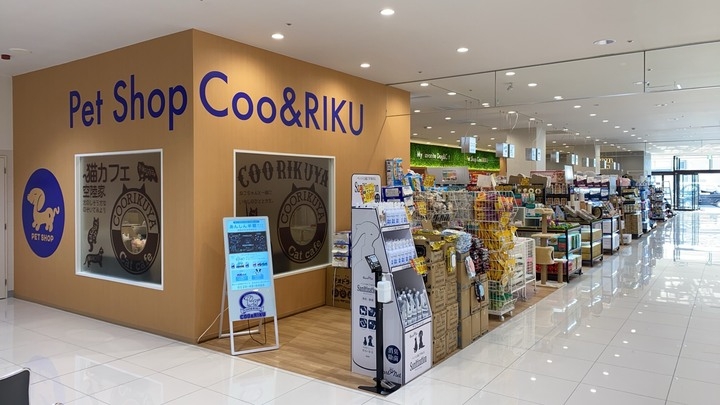 3月27日 土 に熊本県下4店舗目 ペットショップcoo Rikuカリーノ菊陽店 がグランドオープン 有限会社 Coo Rikuのプレスリリース 3月27日 土 に熊本県下4店舗目 ペットショップcoo Rikuカリーノ菊陽店 がグランドオープン 有限会社 Coo Rikuのプレスリリース