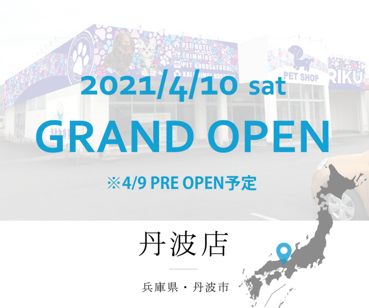 新規オープン 4月10日 土 兵庫県下9店舗目の ペットショップcoo Riku丹波店 が本日グランドオープン 有限会社 Coo Rikuのプレスリリース 新規オープン 4月10日 土 兵庫県下9店舗目の ペットショップcoo Riku丹波店 が本日グランドオープン 有限会社 Coo Rikuのプレスリリース