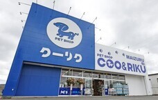 有限会社 Coo&amp;RIKUのプレスリリース画像2