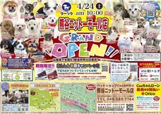 有限会社 Coo&amp;RIKUのプレスリリース画像4