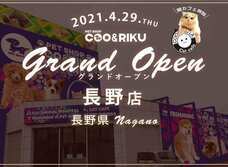 有限会社 Coo&amp;RIKUのプレスリリース画像1