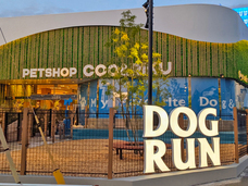 有限会社 Coo&amp;RIKUのプレスリリース画像4