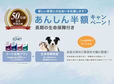 有限会社 Coo&amp;RIKUのプレスリリース画像4