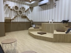 有限会社 Coo&amp;RIKUのプレスリリース画像6