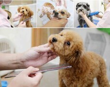 有限会社 Coo&amp;RIKUのプレスリリース画像1