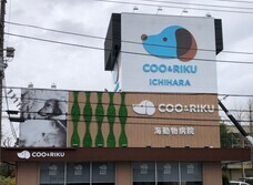 有限会社 Coo&amp;RIKUのプレスリリース画像1