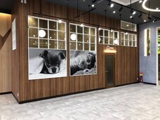 有限会社 Coo&amp;RIKUのプレスリリース画像1