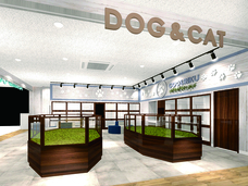 有限会社 Coo&amp;RIKUのプレスリリース画像1