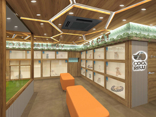 有限会社 Coo&amp;RIKUのプレスリリース画像3