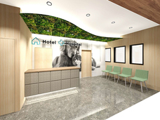 有限会社 Coo&amp;RIKUのプレスリリース画像2