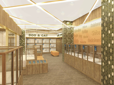 有限会社 Coo&amp;RIKUのプレスリリース画像1