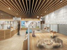 有限会社 Coo&amp;RIKUのプレスリリース画像2