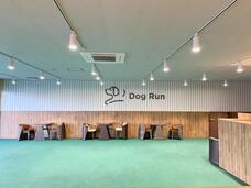 有限会社 Coo&amp;RIKUのプレスリリース画像2