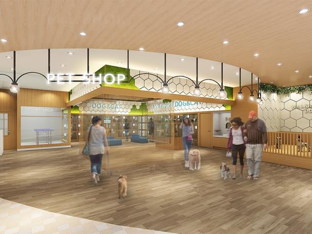 ペットショップcoo Riku 山口県サンパークあじす店が4月29日 金 リニューアルオープン 有限会社 Coo Rikuのプレスリリース ペットショップcoo Riku 山口県サンパークあじす店が4月29日 金 リニューアルオープン 有限会社 Coo Rikuのプレスリリース