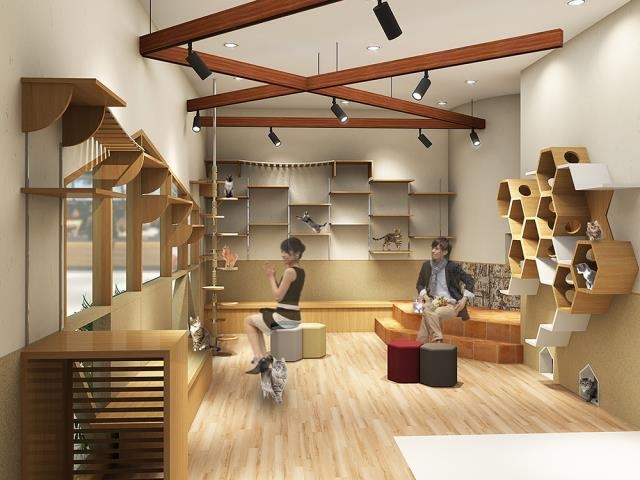 ペットショップcoo Riku 山口県サンパークあじす店が4月29日 金 リニューアルオープン 有限会社 Coo Rikuのプレスリリース ペットショップcoo Riku 山口県サンパークあじす店が4月29日 金 リニューアルオープン 有限会社 Coo Rikuのプレスリリース