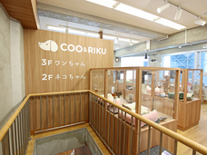 有限会社 Coo&amp;RIKUのプレスリリース画像2