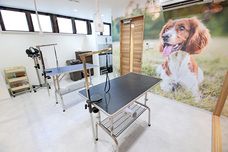 有限会社 Coo&amp;RIKUのプレスリリース画像4