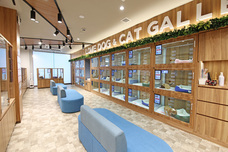 有限会社 Coo&amp;RIKUのプレスリリース画像1