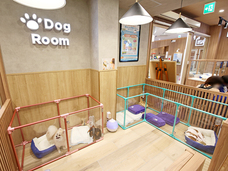 有限会社 Coo&amp;RIKUのプレスリリース画像1