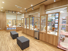 有限会社 Coo&amp;RIKUのプレスリリース画像4