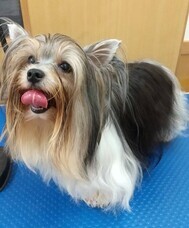 有限会社 Coo&amp;RIKUのプレスリリース画像4