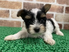 有限会社 Coo&amp;RIKUのプレスリリース画像1