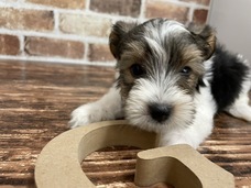 有限会社 Coo&amp;RIKUのプレスリリース画像2