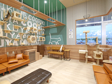 有限会社 Coo&amp;RIKUのプレスリリース画像5