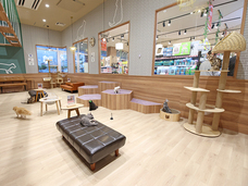 有限会社 Coo&amp;RIKUのプレスリリース画像6