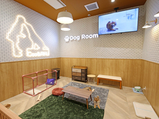 有限会社 Coo&amp;RIKUのプレスリリース画像3