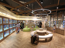 有限会社 Coo&amp;RIKUのプレスリリース画像2