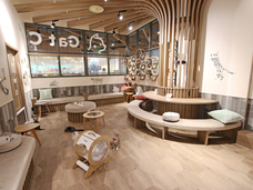 有限会社 Coo&amp;RIKUのプレスリリース画像3