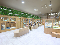 有限会社 Coo&amp;RIKUのプレスリリース画像1