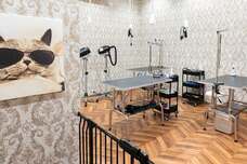 有限会社 Coo&amp;RIKUのプレスリリース画像9