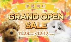 有限会社 Coo&amp;RIKUのプレスリリース画像4