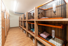 有限会社 Coo&amp;RIKUのプレスリリース画像6