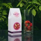 株式会社GUE TRADINGのプレスリリース画像6