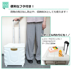 株式会社センター商事のプレスリリース画像3