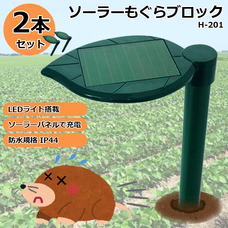 株式会社センター商事のプレスリリース画像1