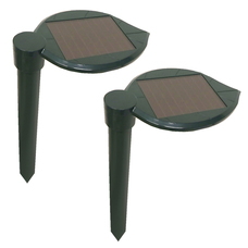 株式会社センター商事のプレスリリース画像2