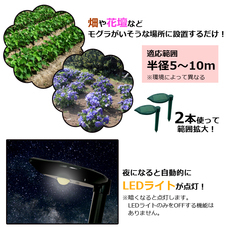 株式会社センター商事のプレスリリース画像8