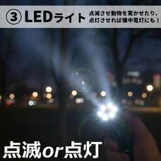 株式会社センター商事のプレスリリース画像4