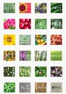 メグミックスのプレスリリース画像1