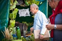 チェコ政府観光局 - チェコツーリズムのプレスリリース画像2