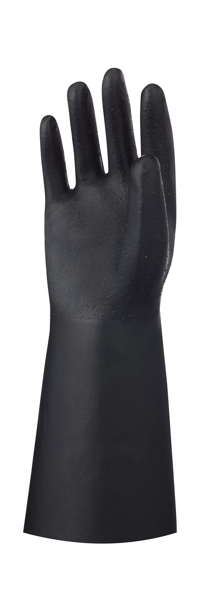 ショーワグローブ株式会社のプレスリリース画像6