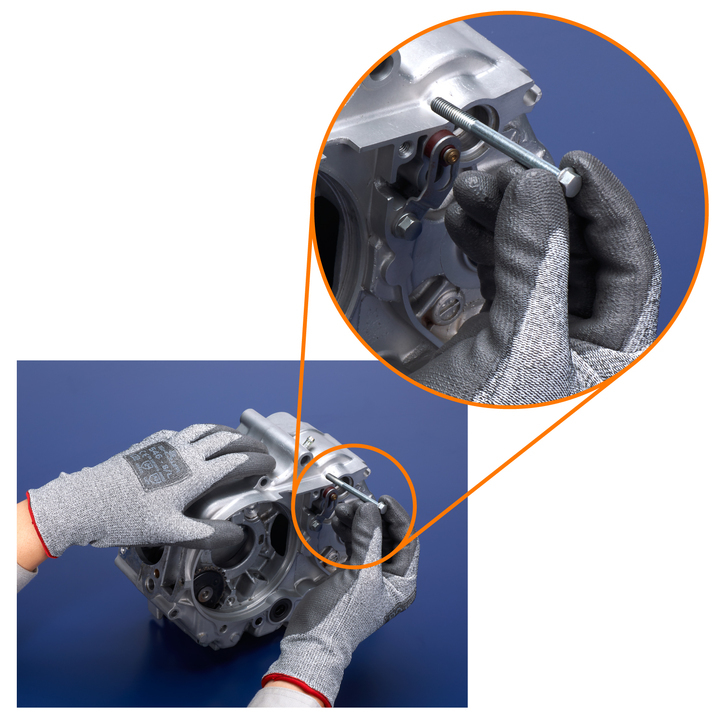 ショーワグローブ株式会社のプレスリリース画像4