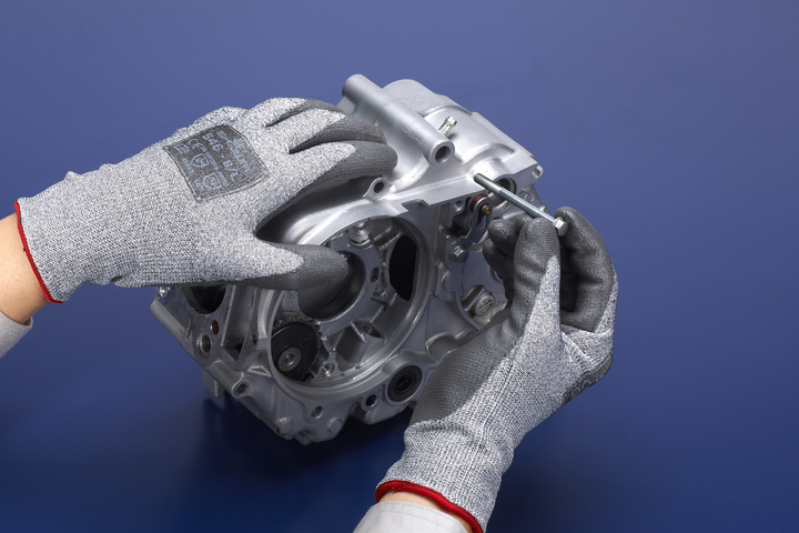 ショーワグローブ株式会社のプレスリリース画像1