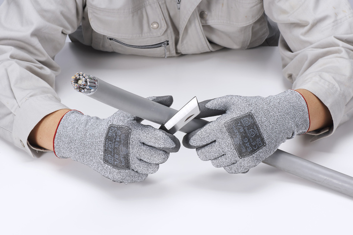 ショーワグローブ株式会社のプレスリリース画像2