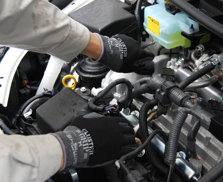 ショーワグローブ株式会社のプレスリリース画像4